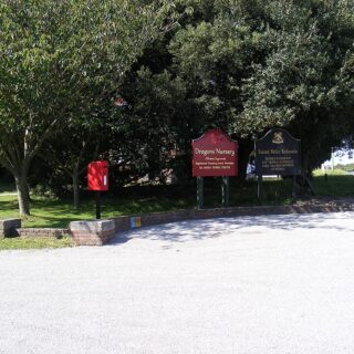 Devotional portrait of St. Felix